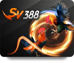 Vì sao VF555 Tỷ Lệ Vàng quan trọng trong mỹ thuật?